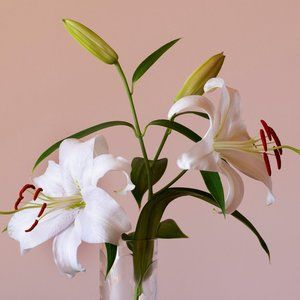 Meet your Posher, Na